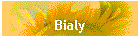 Bialy