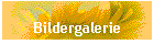 Bildergalerie